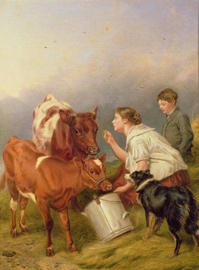 Ulubione cielę autorstwa Richard Ansdell